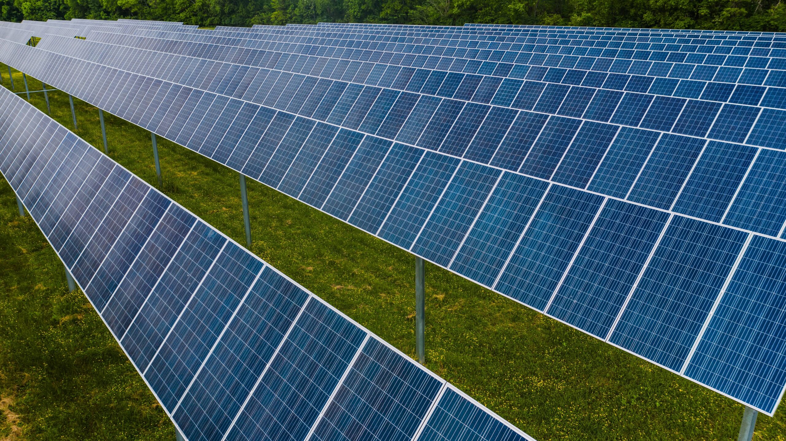 Planta Solar